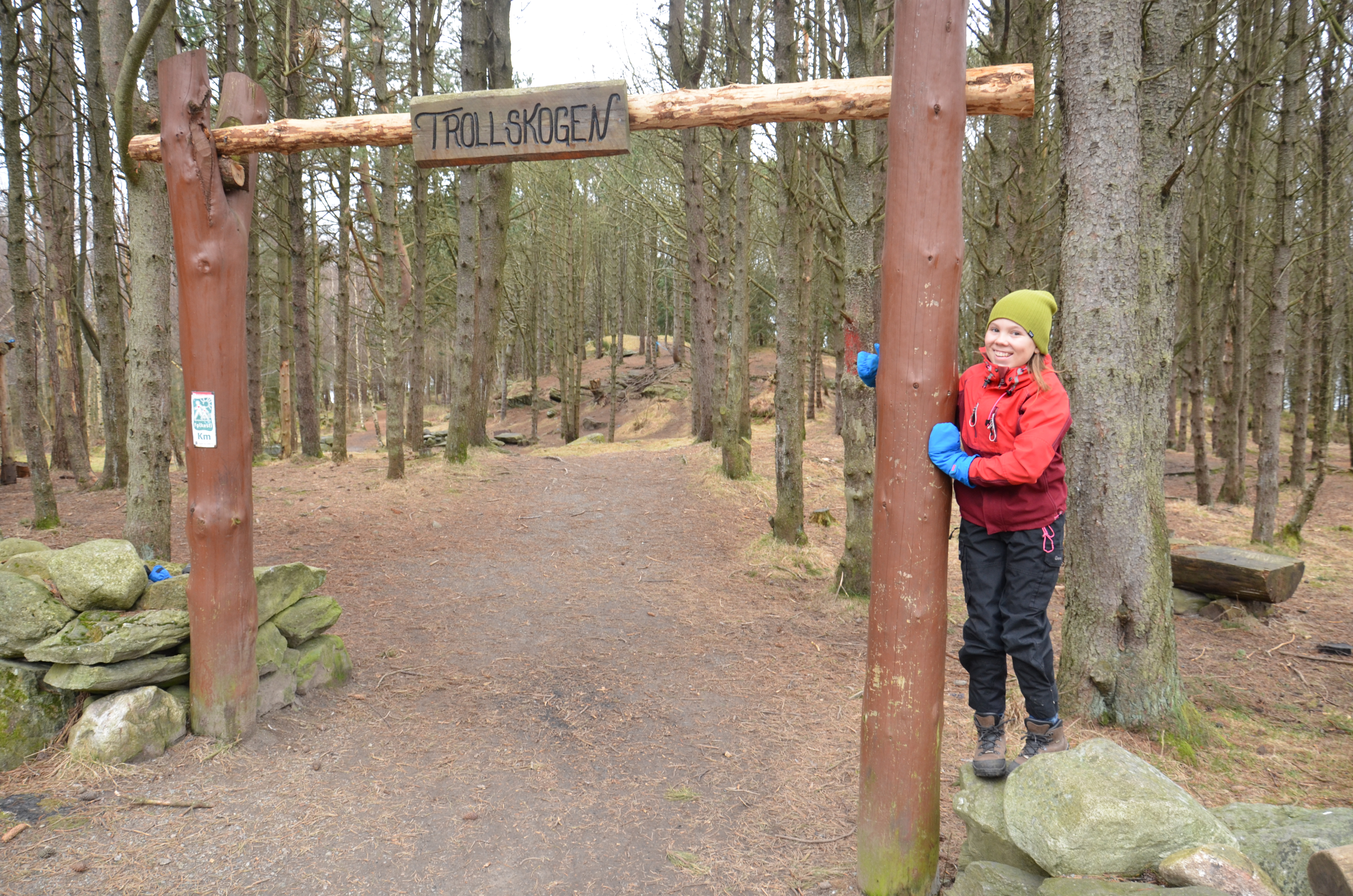 Trollskogen
