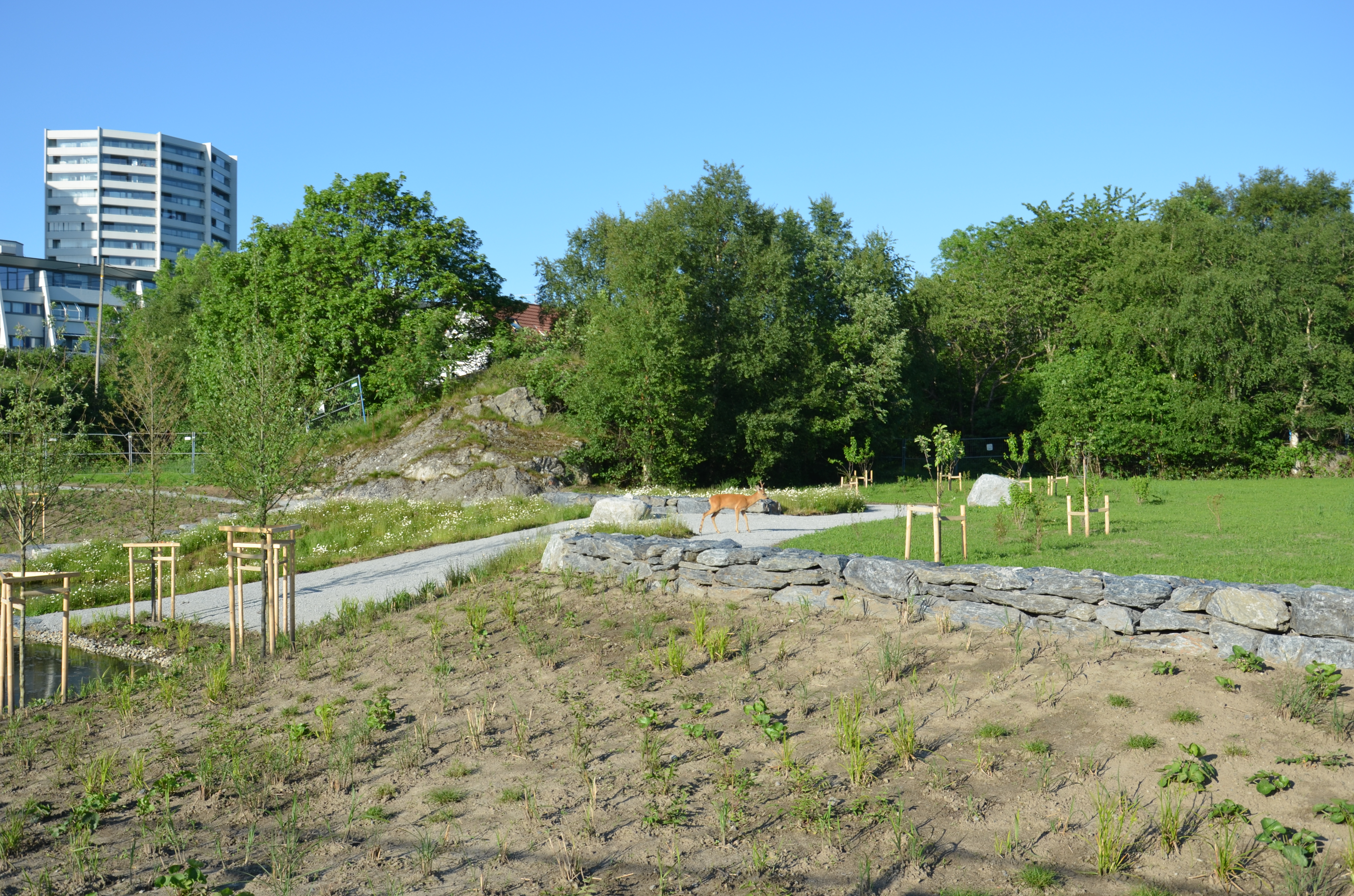 Emmausparken