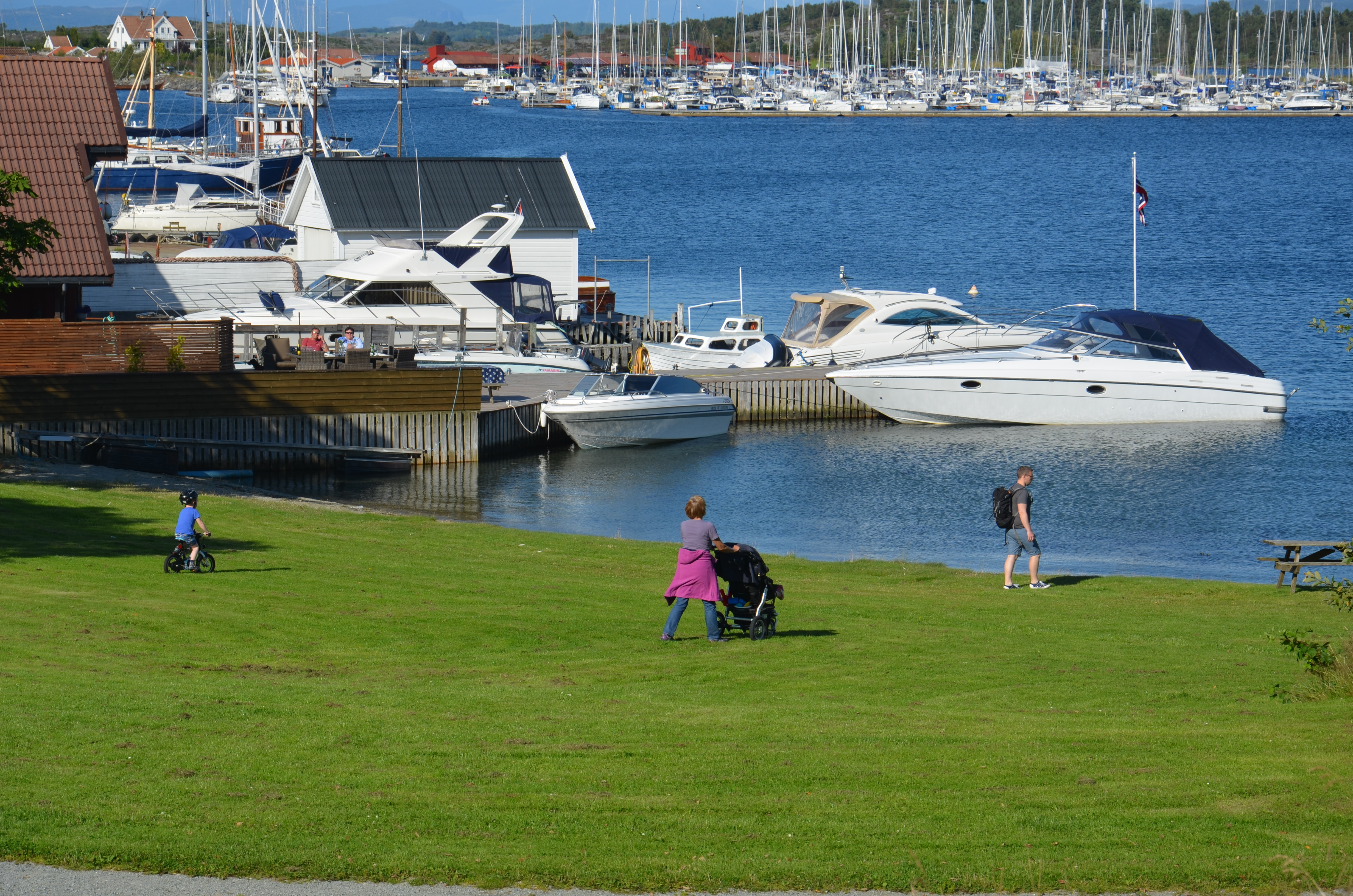 Tømmervika