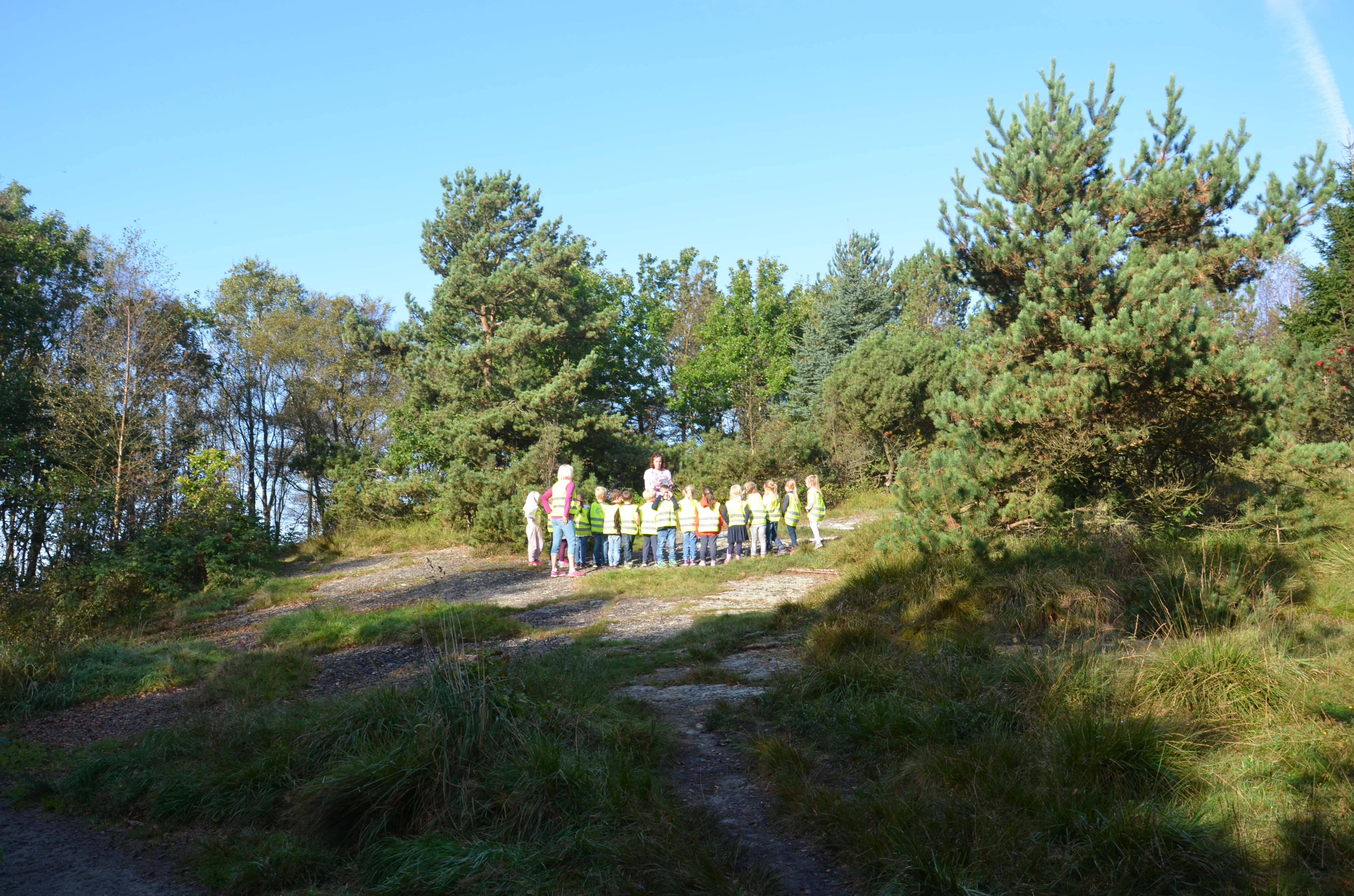 Tastavarden