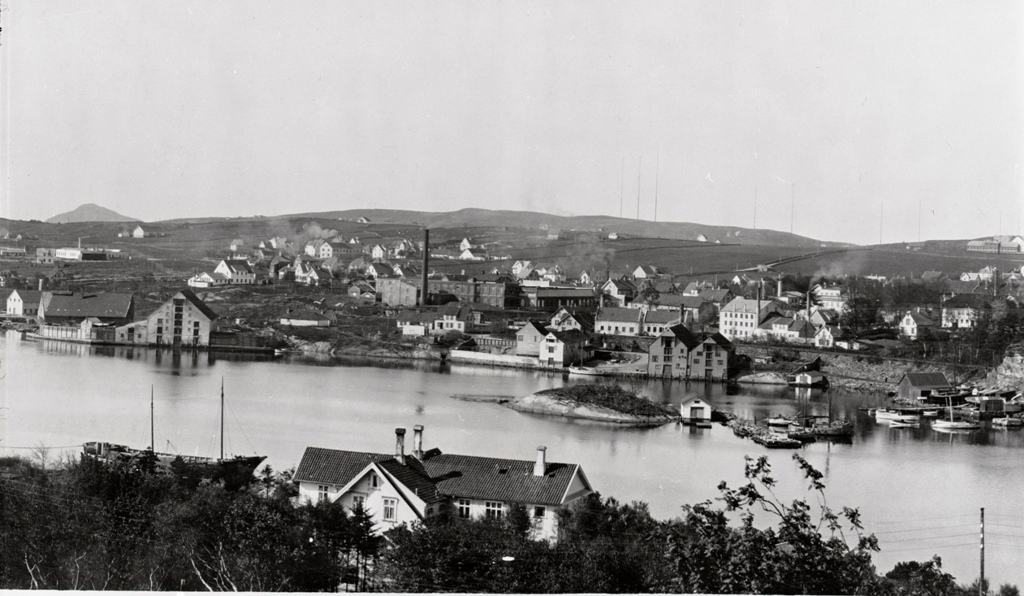 Utsikt fra Storhaug til Hillevåg. Foto fra Stavanger Byarkiv Utsikt fra Storhaug til Hillevåg. Foto fra Stavanger Byarkiv