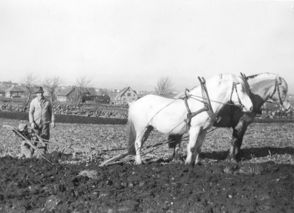 Foto fra Erna Abotnes Foto fra Erna Abotnes