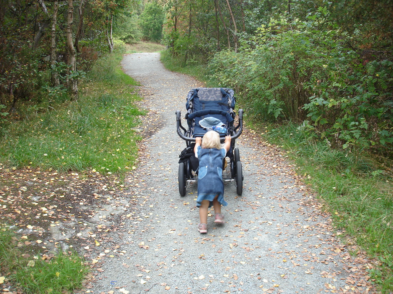 Byens beste friområde 2016
