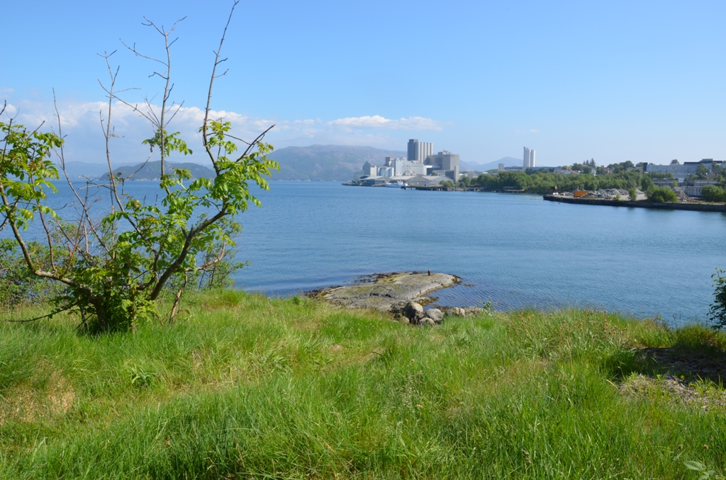 Ved Gandsfjorden