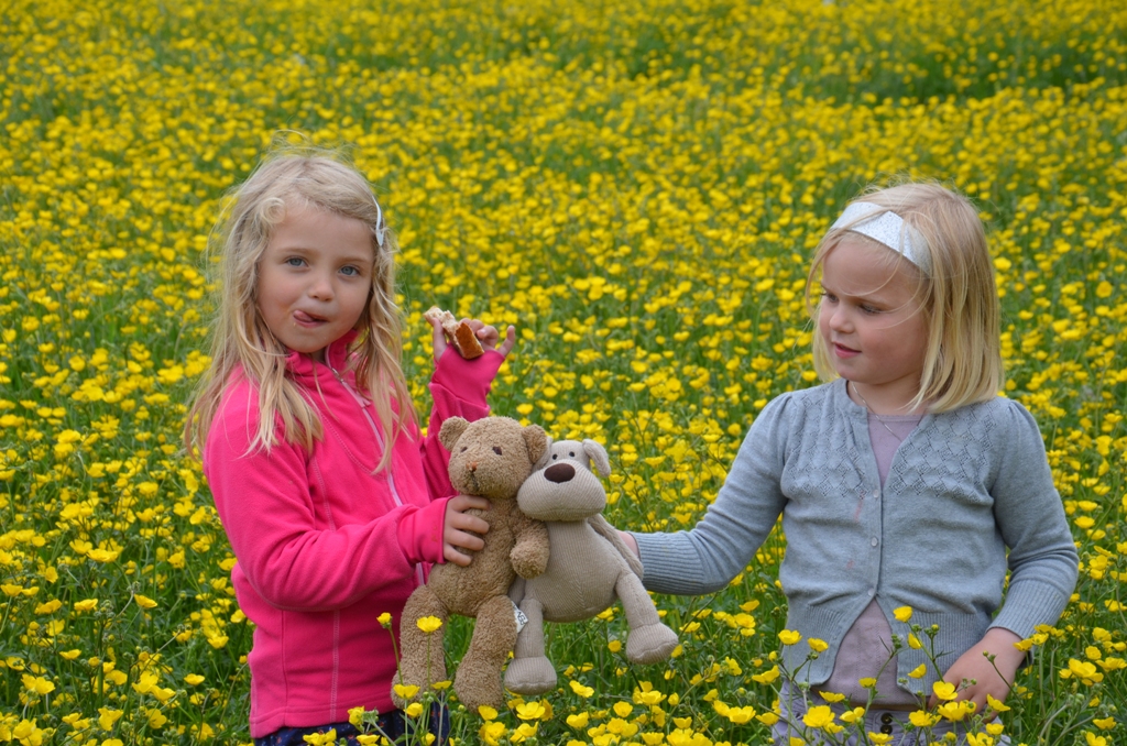 Tjensvoll