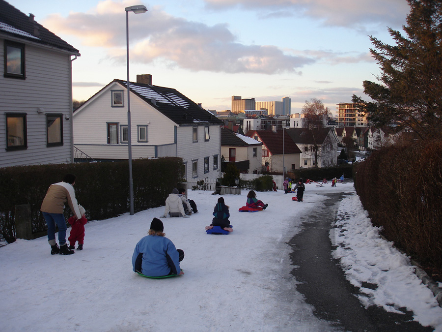 Vinterliv