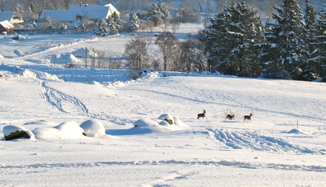 Foto: Erna Abotnes
