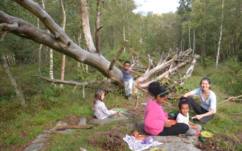 Piknik i det grønne