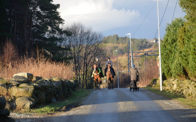 Landlige Alvarsteinveien like ved Slåtthaug