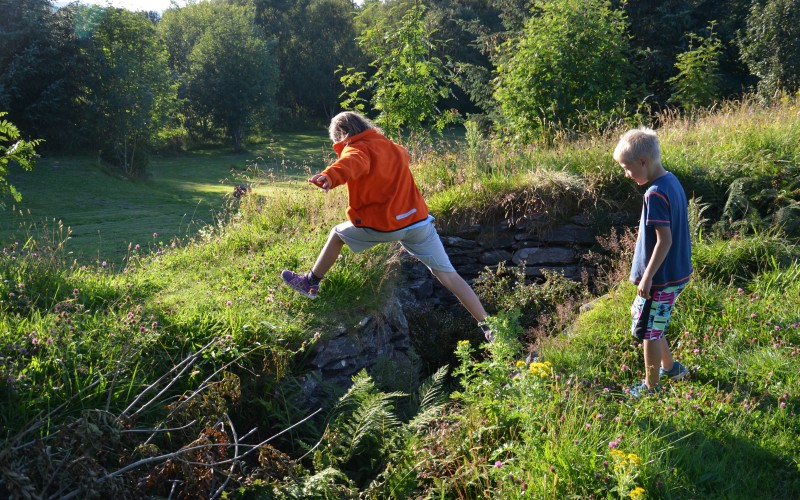 Trollskogen