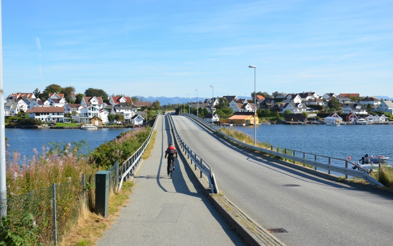 Bjørnøy