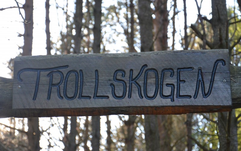 Trollskogen