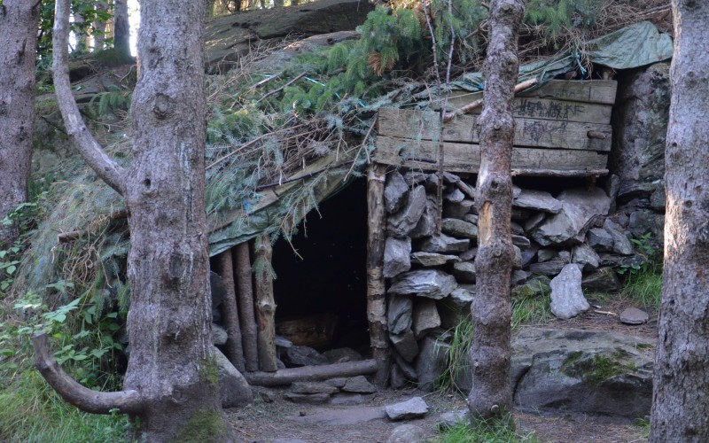 Trollskogen