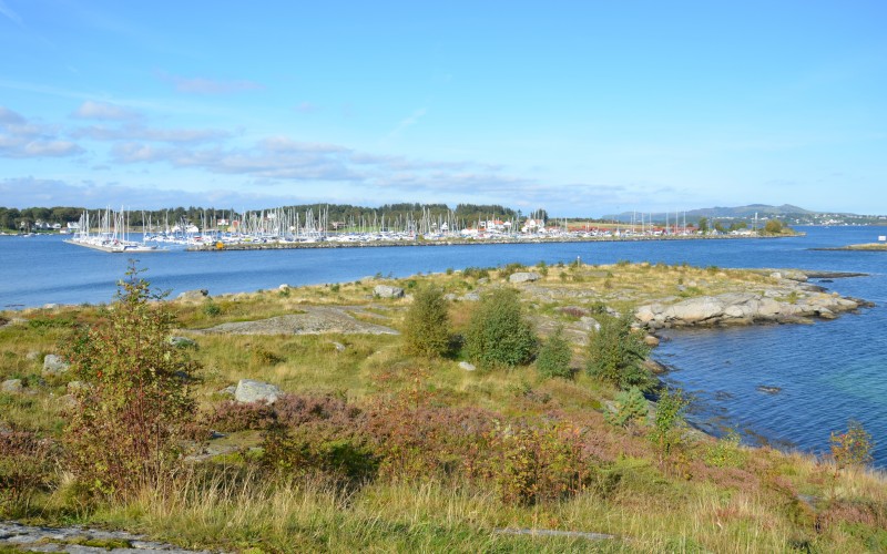 Bjørnøy