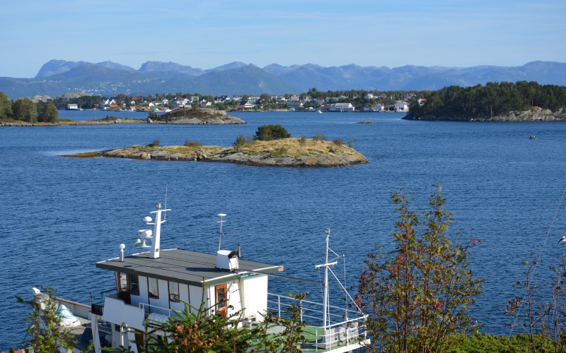 Bjørnøy