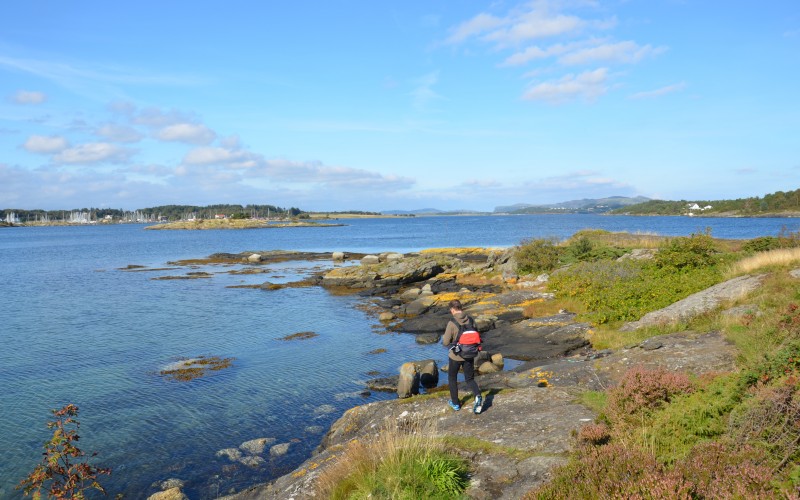 Roaldsøy