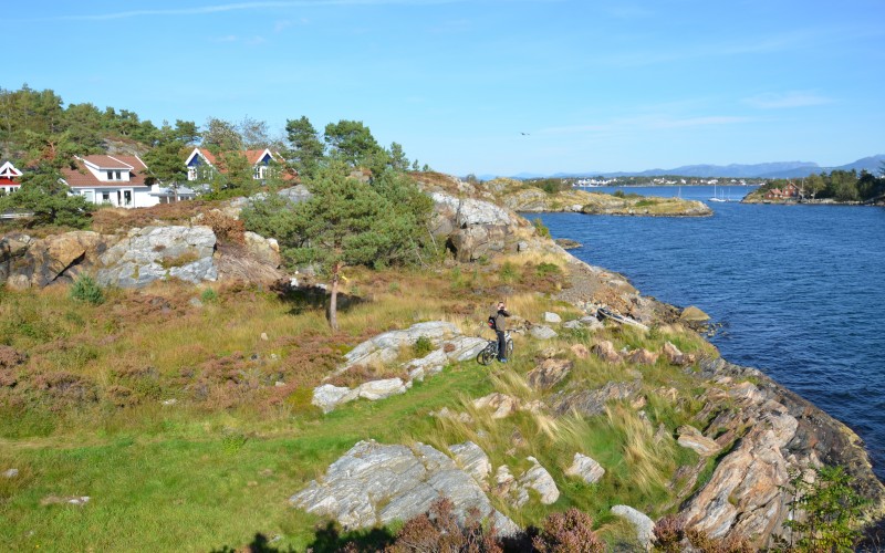 Ormøy