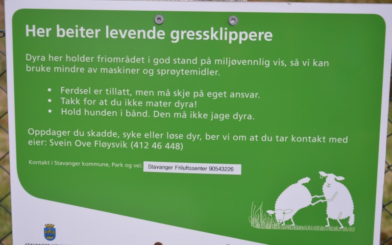 Levende gressklippere