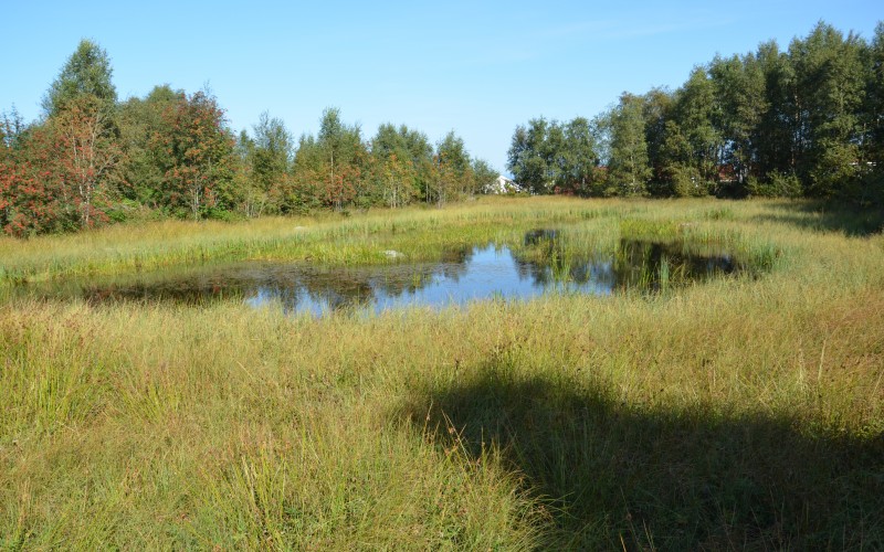 Klampen våtmarksområde