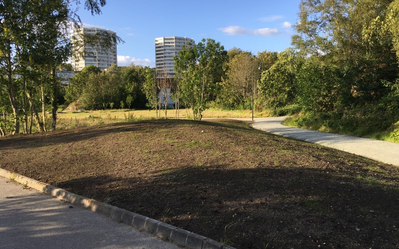 Stadig flottere i Emmausparken