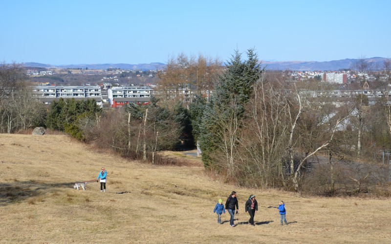 Tjensvoll-Jernaldergården